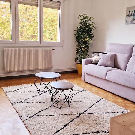 Le Cosy Des Marronniers - 6 Pers Apartment Selestat Exterior photo
