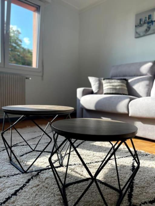 Le Cosy Des Marronniers - 6 Pers Apartment Selestat Exterior photo